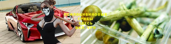 индика Баксан