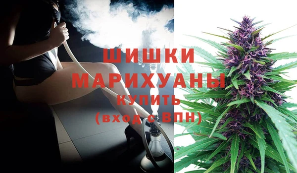 индика Баксан