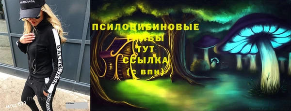 индика Баксан