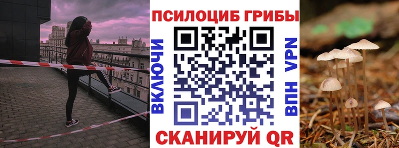 МЕГА tor  где найти   Барабинск  Псилоцибиновые грибы мицелий 